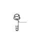 View Flange screw Full-Sized Product Image 1 of 10