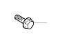 View Flange screw Full-Sized Product Image