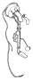 Image of Hose image for your 2008 Volvo S60
