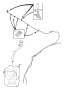 View Liftgate Washer Hose (Front, Rear) Full-Sized Product Image 1 of 4