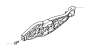 View Exterior Door Handle Reinforcement (Right, Rear) Full-Sized Product Image