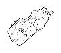 View Key Full-Sized Product Image 1 of 2