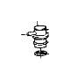 View 1218004 Full-Sized Product Image