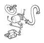 View Hose clamp Full-Sized Product Image