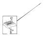 View Screw Full-Sized Product Image 1 of 4
