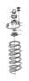 View GCP Bearing. Axle. Spring Support. Without ABS. (Front) Full-Sized Product Image