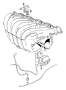 Image of Engine Intake Manifold Gasket image for your 2008 Volvo C30