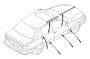View Door Window Belt Weatherstrip (Left, Right, Outer) Full-Sized Product Image