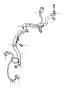 View 30613011 Full-Sized Product Image