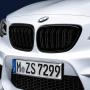 Image of M Performance Black Kidney Grilles. The black ornamental. image for your 2017 BMW 230i Coupe  