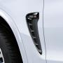 Image of M Performance Black Grilles. The carefully. image for your BMW X5  