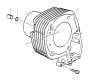 View Fillister head with washer Full-Sized Product Image