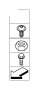 View Fillister head screw Full-Sized Product Image
