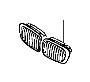 Image of Grille left. CHROM image for your BMW