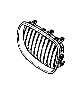 Image of GRILLE RIGHT. SCHWARZ image for your 2002 BMW 530i   