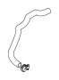 View Gasket ring Full-Sized Product Image