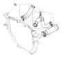 64217677705 Spring ring shell