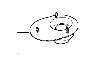 Image of Pin. M8X18 ZNS3 image for your 1986 BMW 325i   