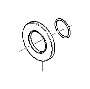 View O-ring Full-Sized Product Image 1 of 2
