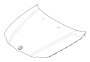 Image of Hood image for your 2003 BMW 330i   