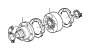 View Reinforcement Full-Sized Product Image