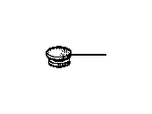 View Blind plug Full-Sized Product Image