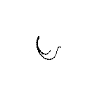 View Clip, black Full-Sized Product Image