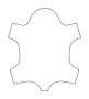 View Leather upholstery, Oregon uni Full-Sized Product Image 1 of 3