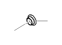 View Plug Full-Sized Product Image