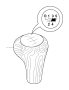 View Shift knob, wood, M plaque, 5-speed Full-Sized Product Image 1 of 2