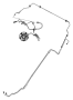 View HOSE, Used for: HOSE AND TUBE, Used for: HOSE AND TUBE ASSEMBLY. Brake. Rear. Left, Left Rear.  Full-Sized Product Image