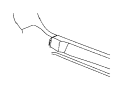 View SEAT BELT. Rear Inner. Left, Left Inner.  Full-Sized Product Image