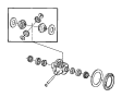 View Differential Carrier Bearing Full-Sized Product Image