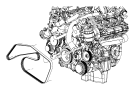 View Serpentine Belt Full-Sized Product Image
