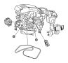 View Serpentine Belt Full-Sized Product Image
