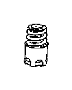 Engine Valve Spring
