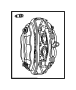 Disc Brake Caliper
