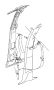 View SEAT BELT. Front Outer. Right.  Full-Sized Product Image