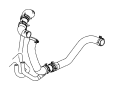View Radiator Coolant Hose (Lower) Full-Sized Product Image