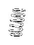 Coil Spring (Rear)