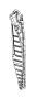 Fender Seal (Front, Rear)
