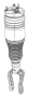 Spring. SUSPENSION. Strut. AIR. A shock absorber is a.