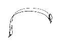 View Belt. Seat. Lap. (Front) Full-Sized Product Image