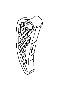 View TENSIONER ARM. Balance Shaft Driver.  Full-Sized Product Image
