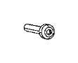 View SCREW. 6 Lobed. Export, Mounting.  Full-Sized Product Image