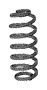 Coil Spring (Rear)