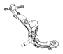 Arm. (Rear, Lower). Arm connected between.