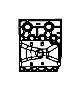 Bumper Impact Absorber (Front, Lower)