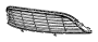 View Grille (Lower) Full-Sized Product Image