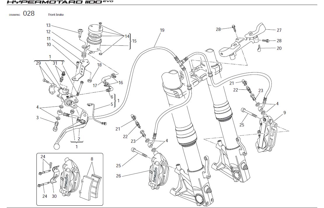 Diagram Front brake for your Ducati